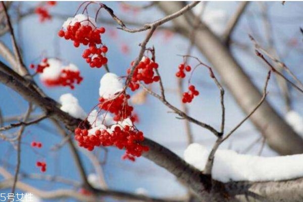 冬季養(yǎng)生重點(diǎn)保暖的八個(gè)部位要注意 冬季養(yǎng)生重點(diǎn)保暖的八個(gè)部位要注意