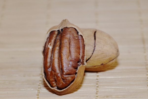 碧根果吃法 教你美味吃法 碧根果吃法 教你美味吃法