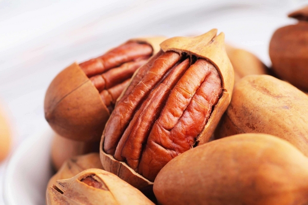 碧根果好還是核桃好 前者營(yíng)養(yǎng)價(jià)值更高 碧根果好還是核桃好 前者營(yíng)養(yǎng)價(jià)值更高