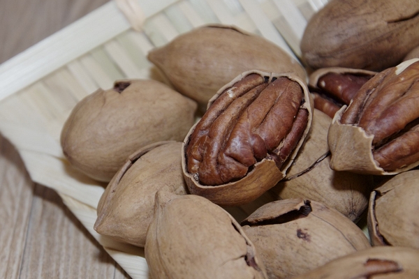 碧根果好吃嗎 美味又營養(yǎng) 碧根果好吃嗎 美味又營養(yǎng)