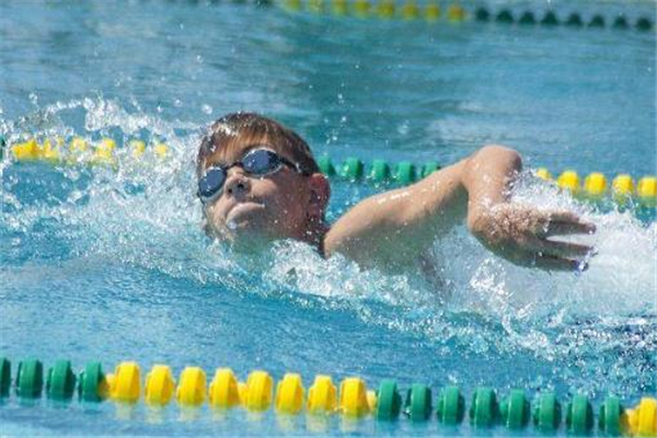 自由泳會使肩膀變寬嗎 有這個可能 自由泳會使肩膀變寬嗎 有這個可能