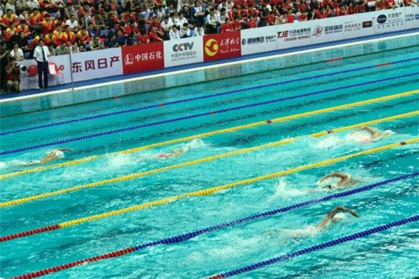 自由泳為什么會(huì)游歪 是這四種原因 自由泳為什么會(huì)游歪 是這四種原因