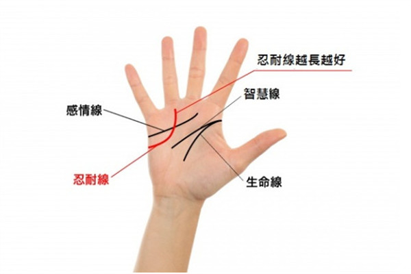 2019年手相看運勢 盤點強勢三手相 2019年手相看運勢 盤點強勢三手相