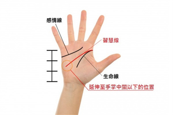 2019年手相看運勢 盤點強勢三手相 2019年手相看運勢 盤點強勢三手相