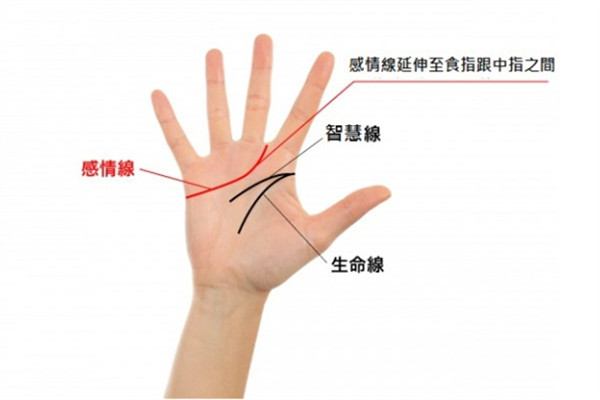 2019年手相看運勢 盤點強勢三手相 2019年手相看運勢 盤點強勢三手相