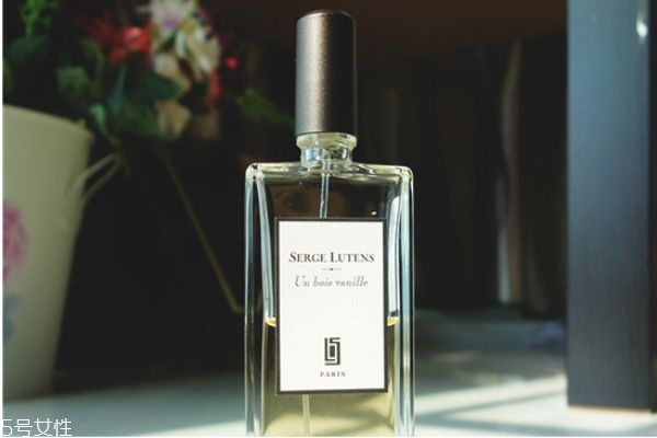 蘆丹氏香子蘭木好聞嗎 蘆丹氏香子蘭木價(jià)格 蘆丹氏香子蘭木好聞嗎 蘆丹氏香子蘭木價(jià)格