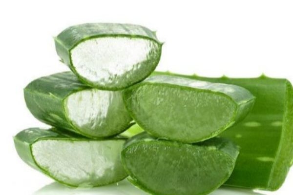 什么牌子的蘆薈膠好用 蘆薈膠真假怎么辨別 什么牌子的蘆薈膠好用 蘆薈膠真假怎么辨別