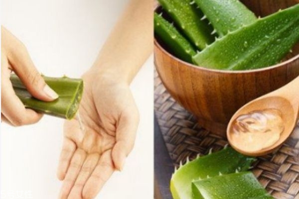蘆薈膠可以祛痘嗎 可用新鮮蘆薈涂抹 蘆薈膠可以祛痘嗎 可用新鮮蘆薈涂抹