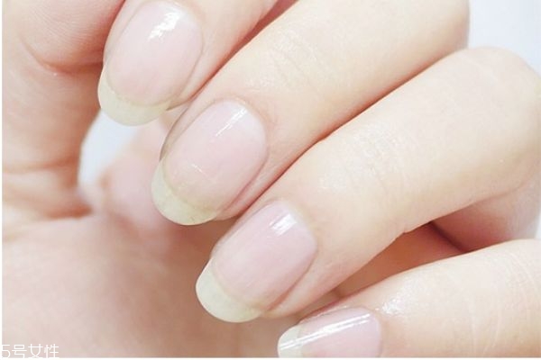 復古橘美甲教程 莫蘭迪色絲絨美甲教程 復古橘美甲教程 莫蘭迪色絲絨美甲教程