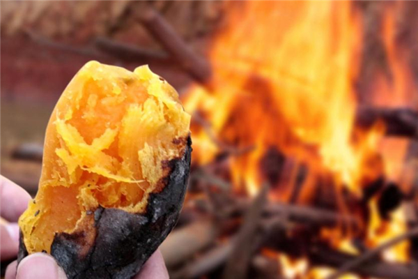 烤紅薯和香蕉能一起吃嗎 容易造成不適 烤紅薯和香蕉能一起吃嗎 容易造成不適