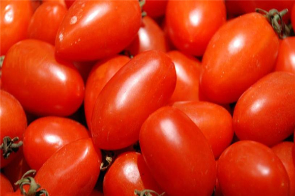 圣女果可以放冰箱嗎 用保鮮袋包好 圣女果可以放冰箱嗎 用保鮮袋包好