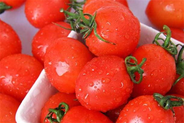 圣女果可以放冰箱嗎 用保鮮袋包好 圣女果可以放冰箱嗎 用保鮮袋包好