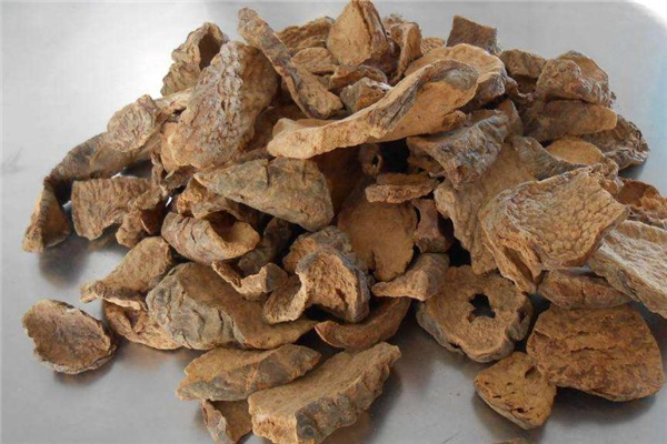 肉蓯蓉可以生吃嗎 生吃對功效有影響 肉蓯蓉可以生吃嗎 生吃對功效有影響