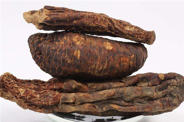 肉蓯蓉糖尿病人可以吃嗎 會產生不適 肉蓯蓉糖尿病人可以吃嗎 會產生不適