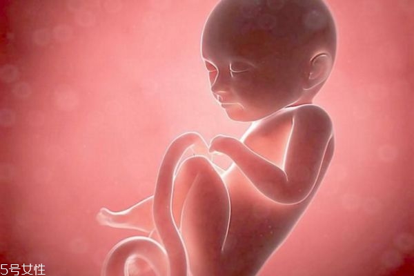 女性做完人流后多久可以同房 女性做完人流后多久可以同房