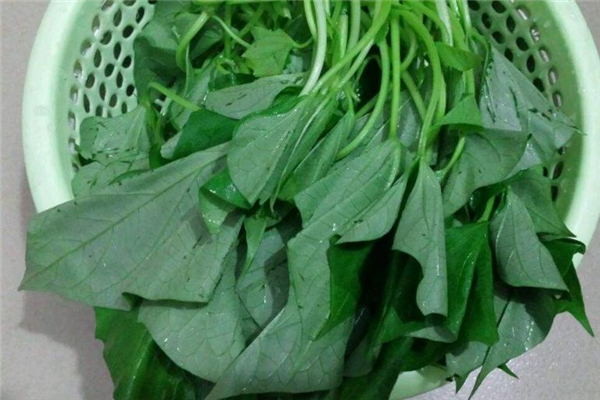 紅薯葉是涼性還是熱性 都不屬于 紅薯葉是涼性還是熱性 都不屬于