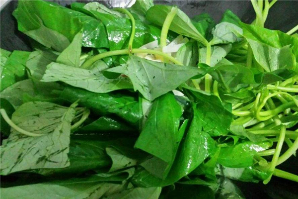 紅薯葉是涼性還是熱性 都不屬于 紅薯葉是涼性還是熱性 都不屬于