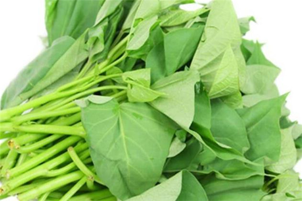 紅薯葉可以泡茶喝嗎 對(duì)身體很好 紅薯葉可以泡茶喝嗎 對(duì)身體很好