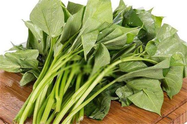 紅薯葉可以泡茶喝嗎 對(duì)身體很好 紅薯葉可以泡茶喝嗎 對(duì)身體很好