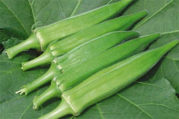 黃秋葵里面的籽能吃嗎 口感不錯 黃秋葵里面的籽能吃嗎 口感不錯