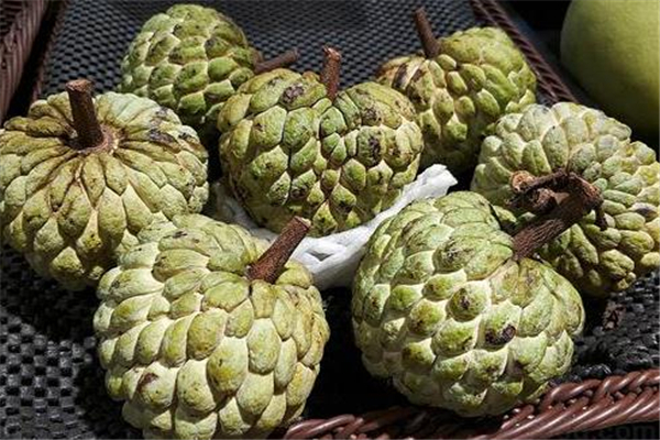 釋迦果什么時候吃最好 建議早上食用 釋迦果什么時候吃最好 建議早上食用