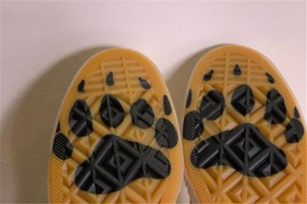 clot匡威北極熊聯(lián)名發(fā)售時間 預售已破三千