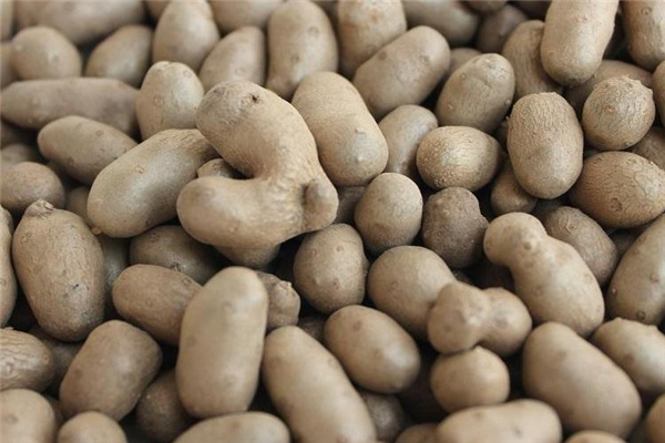 山藥豆蒸多久能熟 時(shí)長很關(guān)鍵