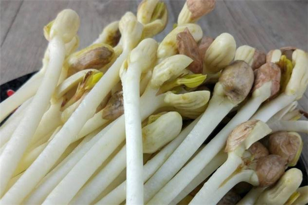 花生苗怎么炒好吃 常見做法是這樣 花生苗怎么炒好吃 常見做法是這樣