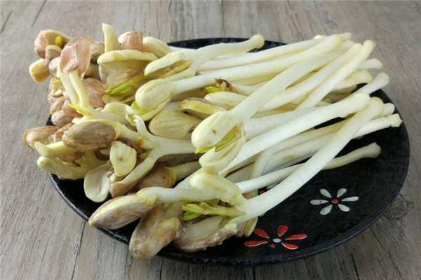 花生苗怎么炒好吃 常見做法是這樣 花生苗怎么炒好吃 常見做法是這樣