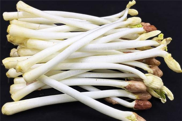 花生芽哺乳期可以吃嗎 有很多好處 花生芽哺乳期可以吃嗎 有很多好處