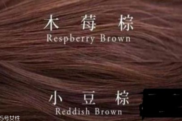 小豆棕頭發(fā)顯白嗎 小豆棕相似色 小豆棕頭發(fā)顯白嗎 小豆棕相似色