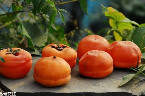 柿子和什么一起吃好 吃柿子注意事項 柿子和什么一起吃好 吃柿子注意事項