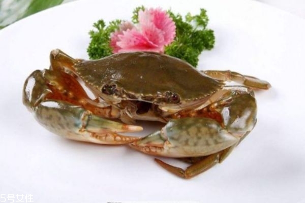 三門青蟹的營養(yǎng)價(jià)值 三門青蟹和越南青蟹的區(qū)別 三門青蟹的營養(yǎng)價(jià)值 三門青蟹和越南青蟹的區(qū)別