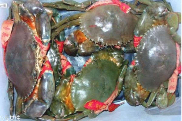 三門青蟹怎么保存 三門青蟹的保存方法 三門青蟹怎么保存 三門青蟹的保存方法