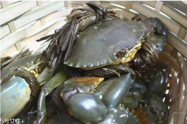 三門青蟹怎么挑選 青蟹判斷是否鮮活小訣竅 三門青蟹怎么挑選 青蟹判斷是否鮮活小訣竅