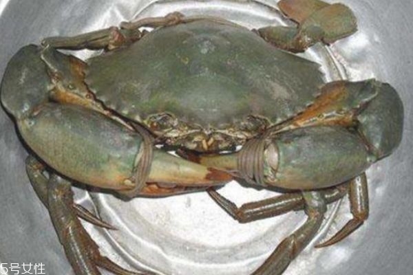 三門青蟹怎么保存 三門青蟹的保存方法 三門青蟹怎么保存 三門青蟹的保存方法