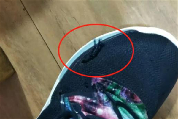 耐克歐文5飛線斷了怎么辦 找商家處理 耐克歐文5飛線斷了怎么辦 找商家處理