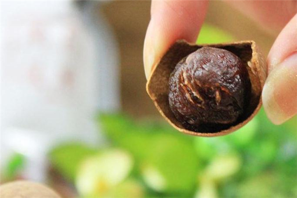 桂圓能治療失眠嗎 僅有輔助作用 桂圓能治療失眠嗎 僅有輔助作用