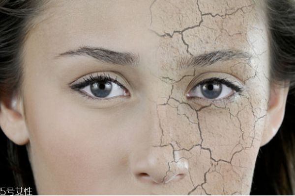 干性皮膚用什么護(hù)膚品 補(bǔ)水口碑最好的護(hù)膚品推薦 干性皮膚用什么護(hù)膚品 補(bǔ)水口碑最好的護(hù)膚品推薦