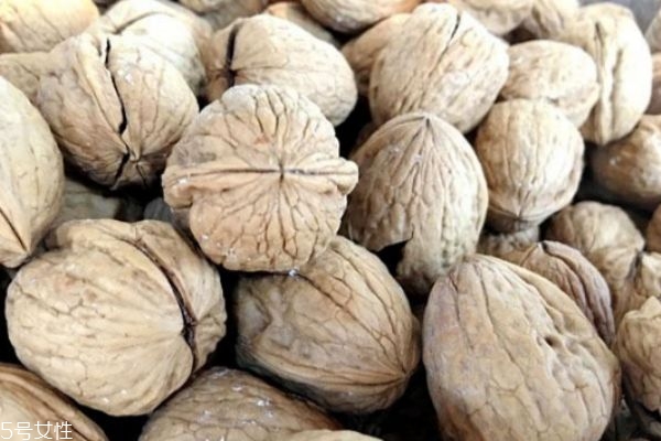 核桃營養(yǎng)價值及其食療功效分析 核桃營養(yǎng)價值及其食療功效分析