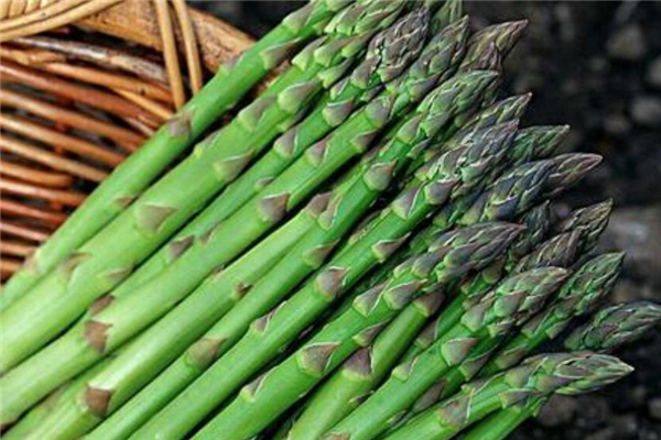 蘆筍吃多了會(huì)怎樣 對(duì)腸胃不好 蘆筍吃多了會(huì)怎樣 對(duì)腸胃不好