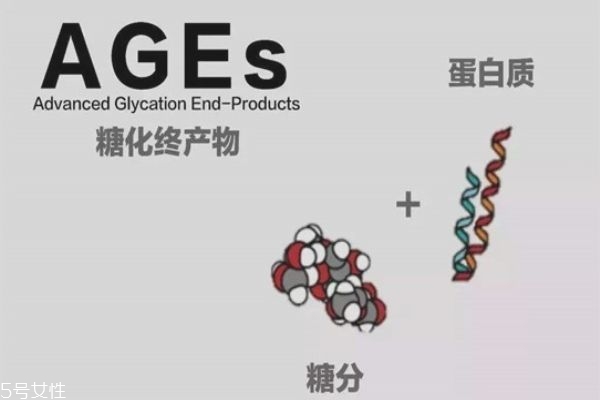 什么是抗糖化 如何抗糖化 什么是抗糖化 如何抗糖化