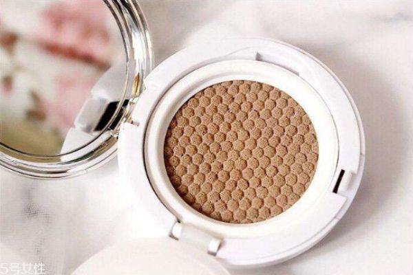 鮭魚氣墊是什么牌子 日本salmon鮭魚氣墊 鮭魚氣墊是什么牌子 日本salmon鮭魚氣墊