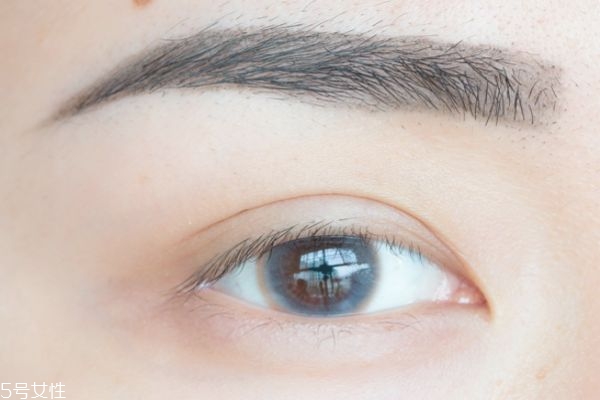 lunasol雙色眼影盤有哪些顏色 lunasol雙色眼影畫法 lunasol雙色眼影盤有哪些顏色 lunasol雙色眼影畫法