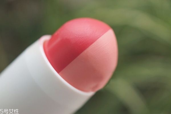 the saem雙色腮紅 得鮮雙色腮紅棒試色 the saem雙色腮紅 得鮮雙色腮紅棒試色