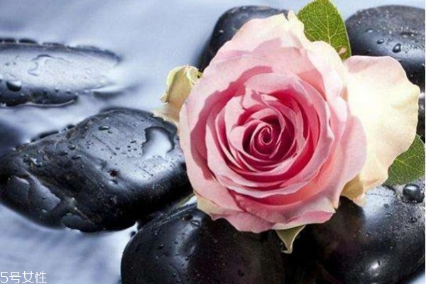 玫瑰水做爽膚水有什么作用 玫瑰爽膚水的功效 玫瑰水做爽膚水有什么作用 玫瑰爽膚水的功效
