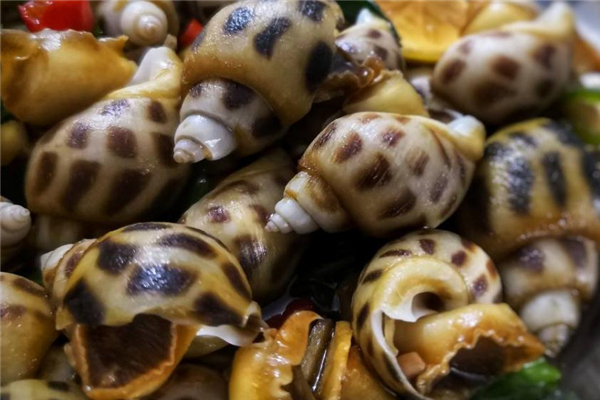 花螺可以冷凍保存嗎 保存時間較短 花螺可以冷凍保存嗎 保存時間較短