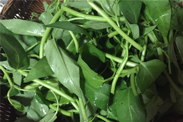 空心菜什么季節(jié)有 夏季比較常見(jiàn)