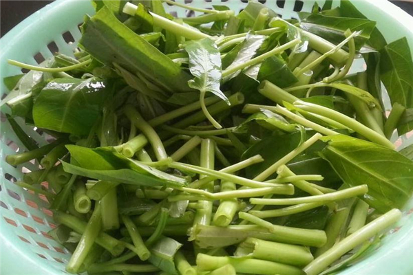 空心菜和海帶能一起吃嗎 量不能太多 空心菜和海帶能一起吃嗎 量不能太多