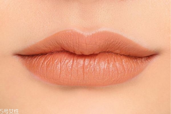 南瓜色口紅適合黃皮嗎 南瓜色口紅顯白嗎 南瓜色口紅適合黃皮嗎 南瓜色口紅顯白嗎